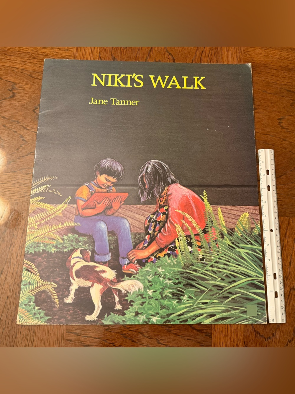 NIKI'S WALK.  A book with no words!   For discussion and enrichment.